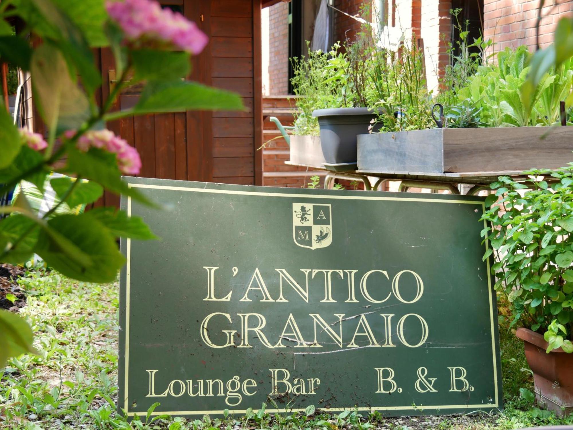 Bed and Breakfast L'Antico Granaio Paliano Exterior foto