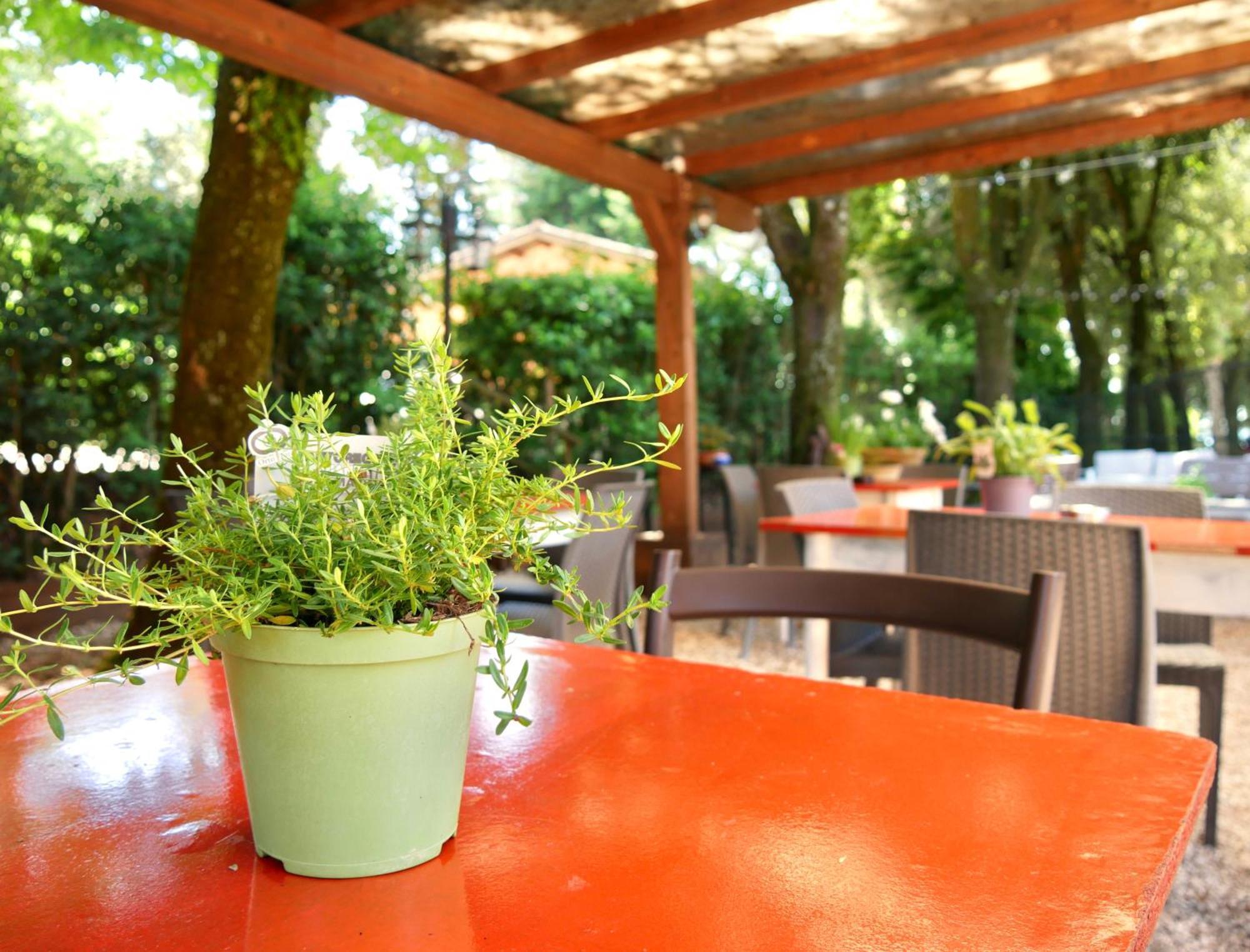 Bed and Breakfast L'Antico Granaio Paliano Exterior foto
