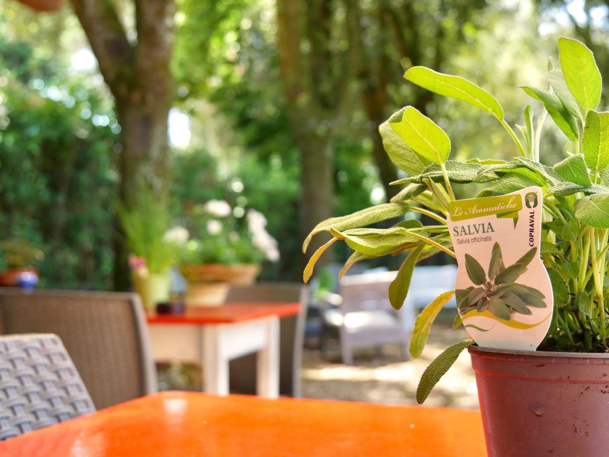 Bed and Breakfast L'Antico Granaio Paliano Exterior foto