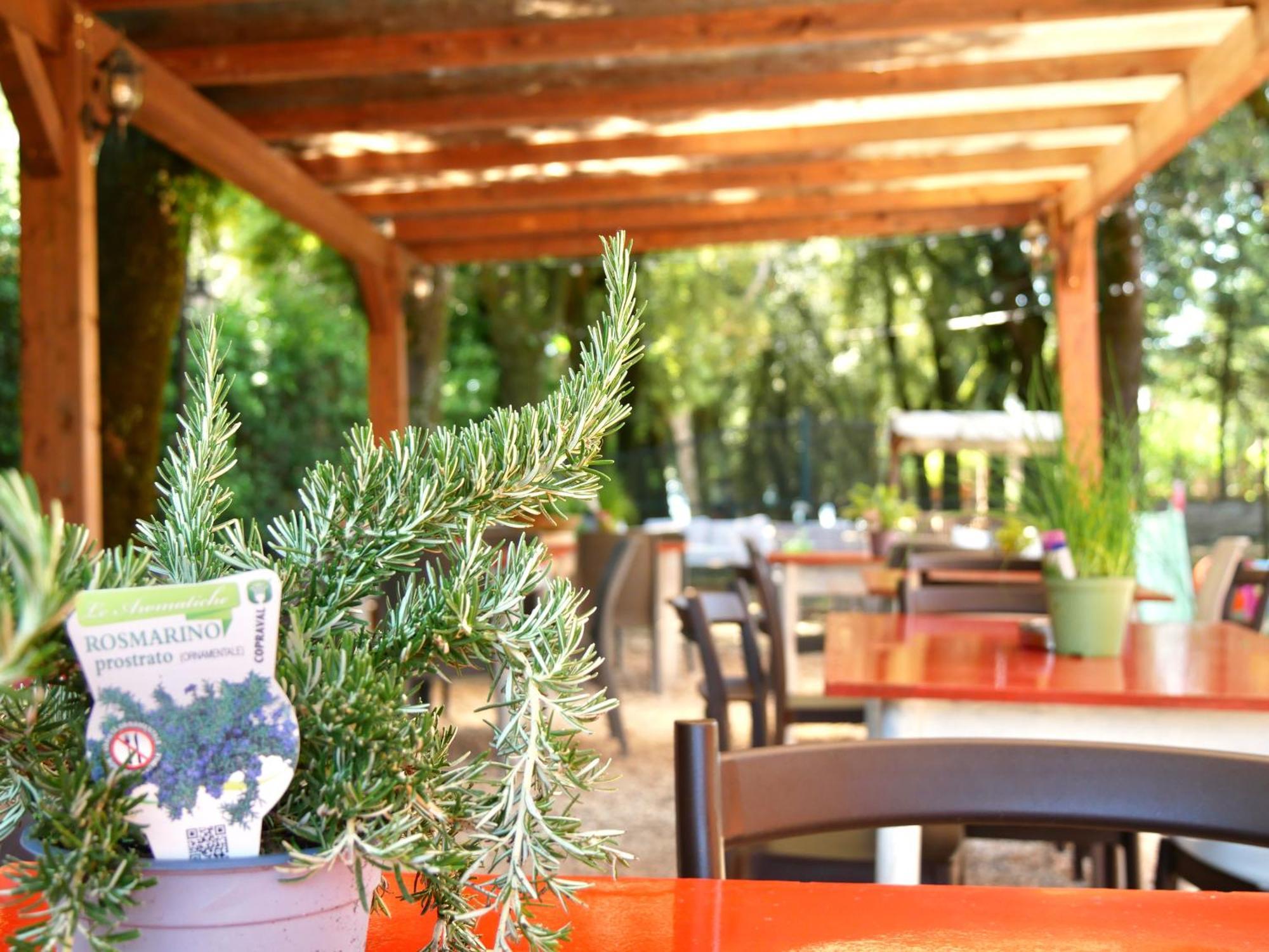Bed and Breakfast L'Antico Granaio Paliano Exterior foto